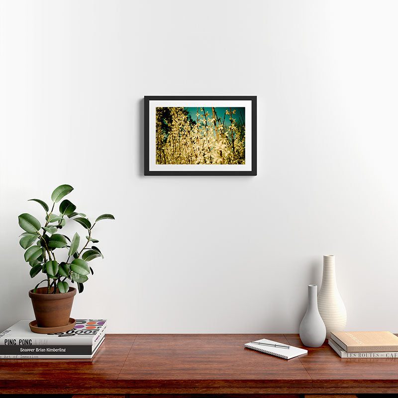 Wild Abandon Framed Art Print Gallery Image 2