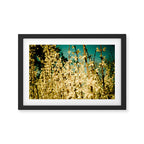 Wild Abandon Framed Art Print Gallery Image 2