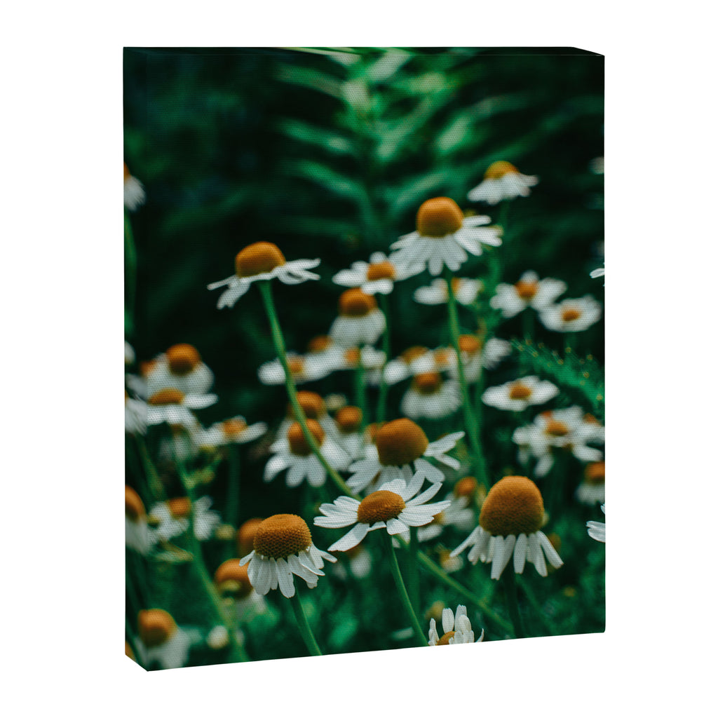 Wild Abandon of Summer Canvas Print Gallery Image 6