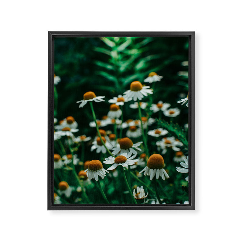 Wild Abandon of Summer Framed Canvas Print Gallery Image 6