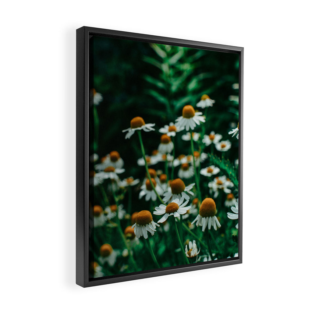 Wild Abandon of Summer Framed Canvas Print Gallery Image 2