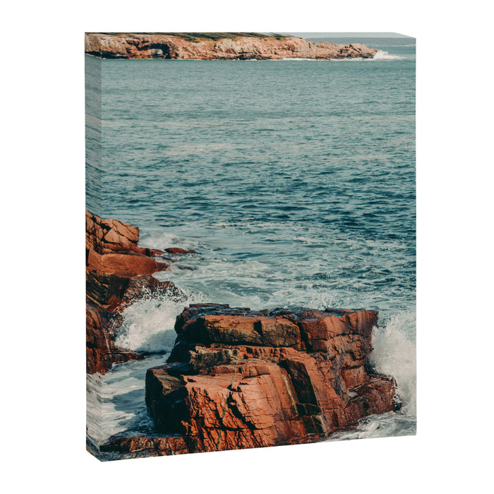 Wild Coast Canvas Print Gallery Image 1