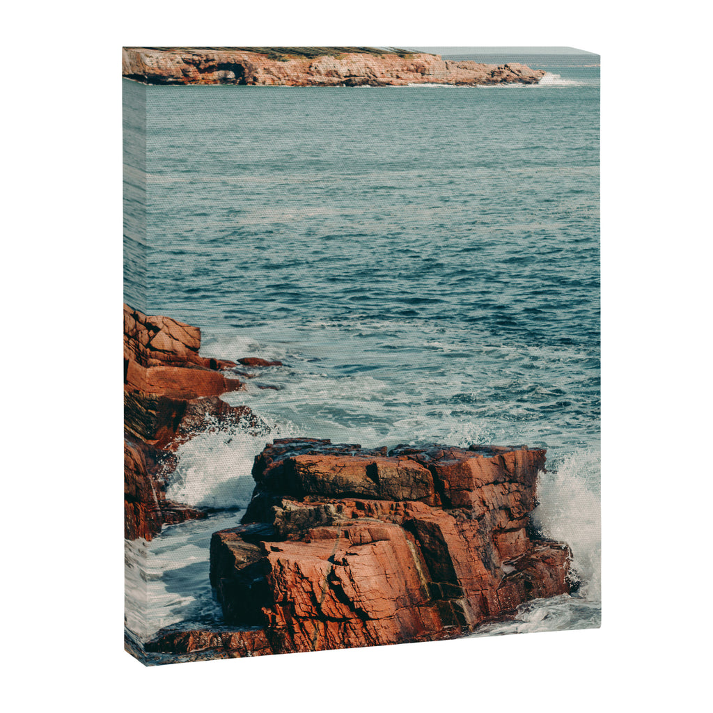 Wild Coast Canvas Print Gallery Image 6