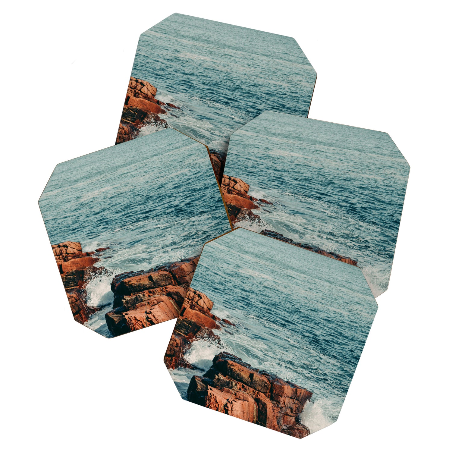 Wild Coast Coaster Gallery Image 1