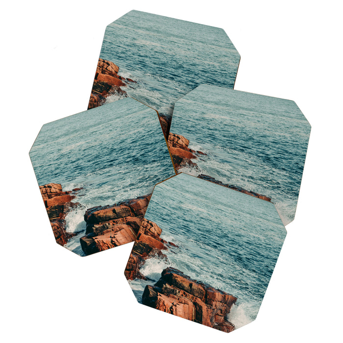 Wild Coast Coaster Gallery Image 1