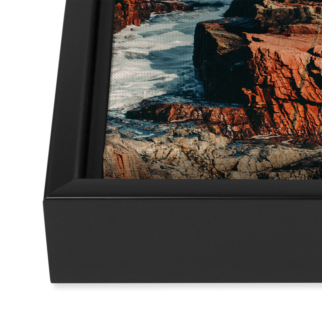 Wild Coast Framed Canvas Print Gallery Image 3