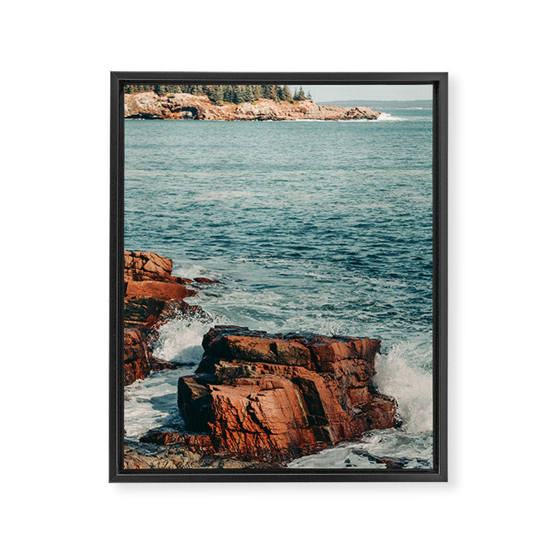 Wild Coast Framed Canvas Print Gallery Image 6