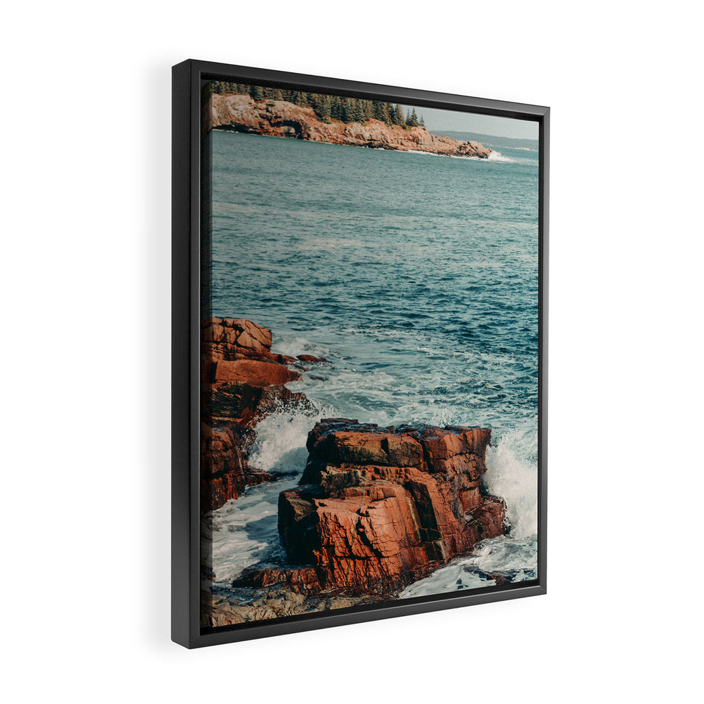 Wild Coast Framed Canvas Print Gallery Image 2