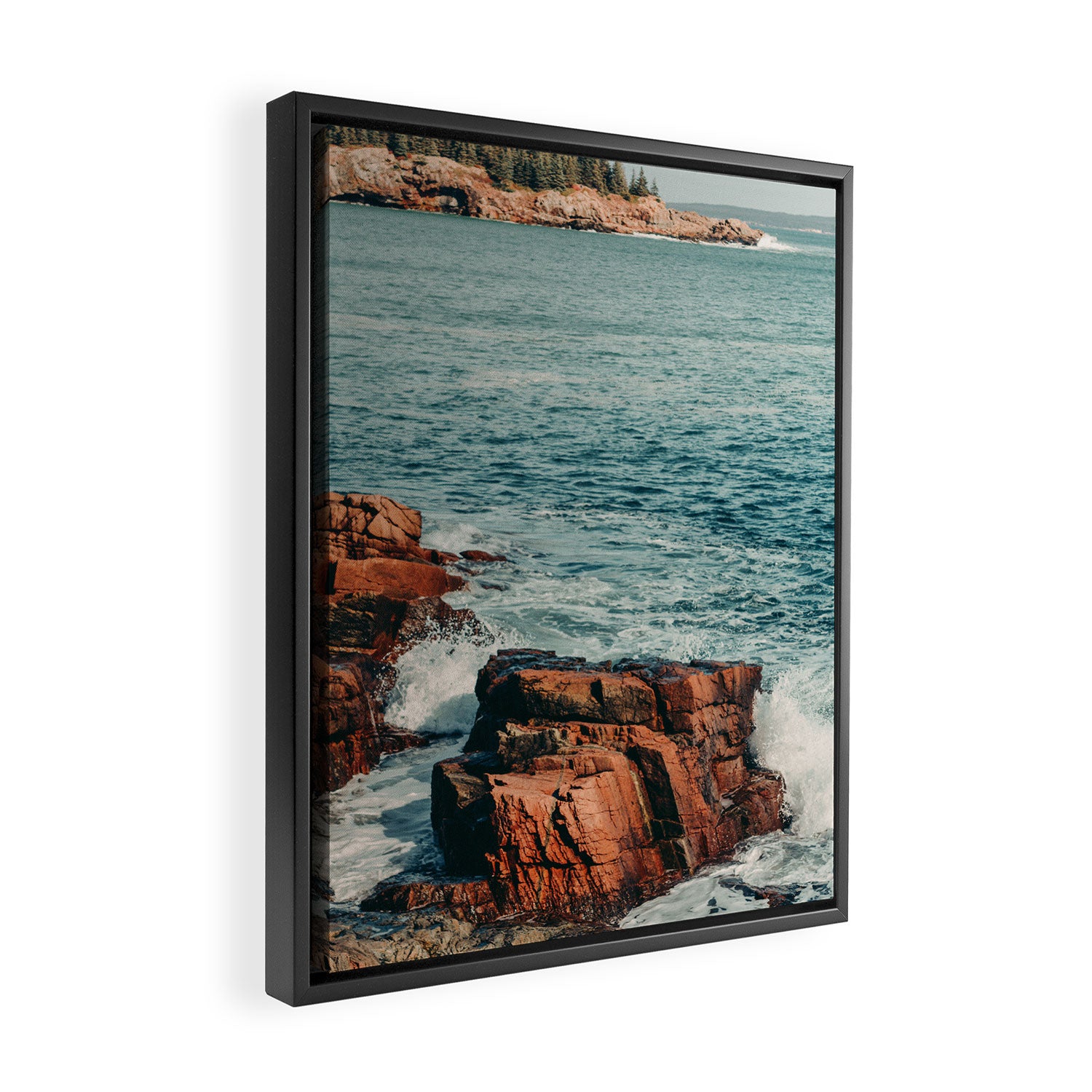 Wild Coast Framed Canvas Print Gallery Image 2