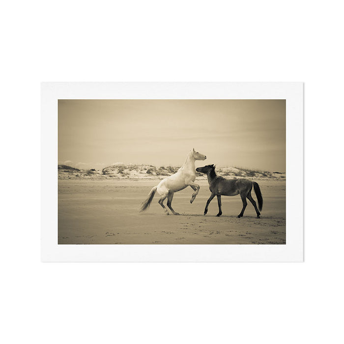 Wild Horses 2 Art Print Gallery Image 1