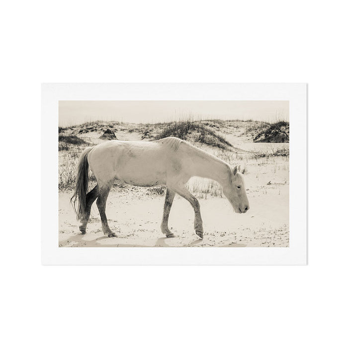 Wild Horses 3 - Black and White Art Print Gallery Image 1