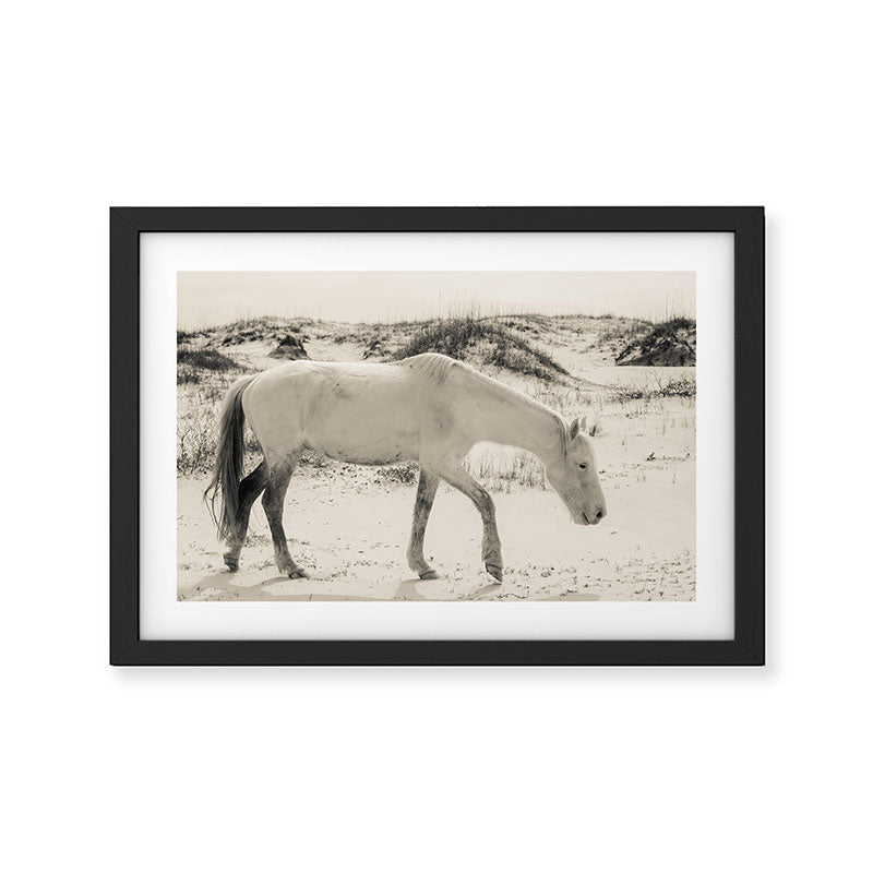 Wild Horses 3 - Black and White Framed Art Print Gallery Image 2