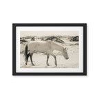 Wild Horses 3 - Black and White Framed Art Print Gallery Image 2