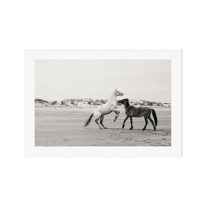 Wild Horses 5 - Black and White Art Print Gallery Image 1