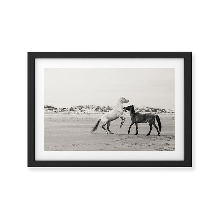 Wild Horses 5 - Black and White Framed Art Print Gallery Image 1