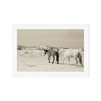 Wild Horses 6 - Black and White Art Print Gallery Image 1