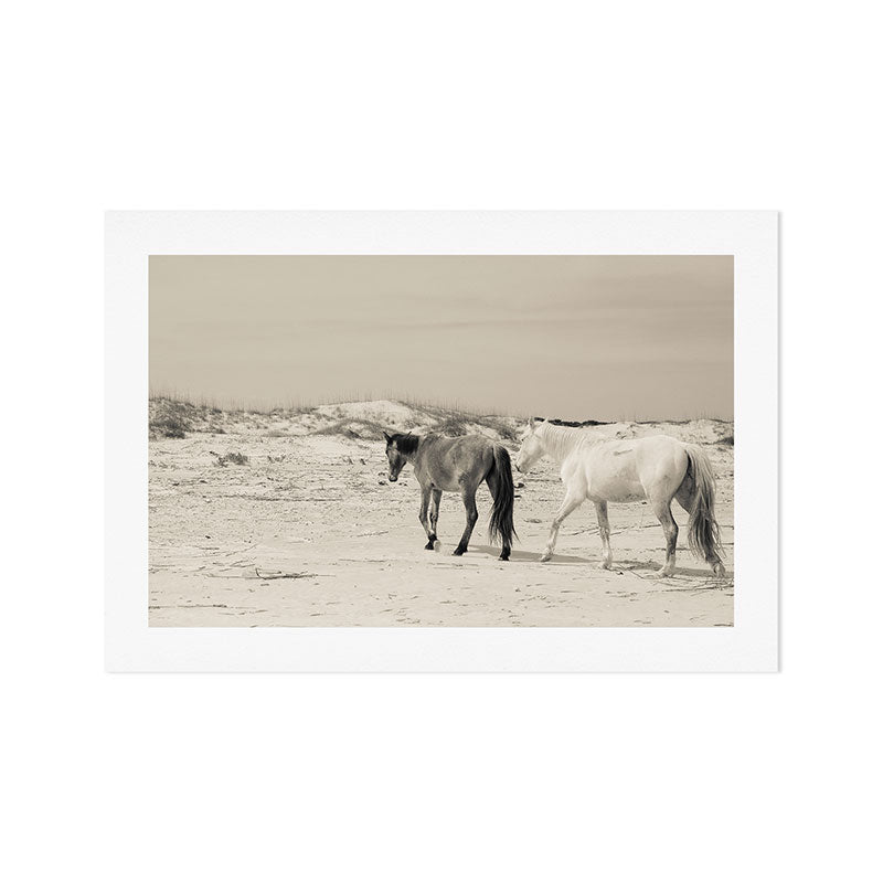 Wild Horses 6 - Black and White Art Print Gallery Image 1