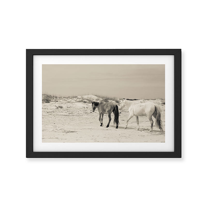 Wild Horses 6 - Black and White Framed Art Print Gallery Image 2