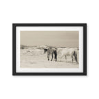 Wild Horses 6 - Black and White Framed Art Print Gallery Image 2