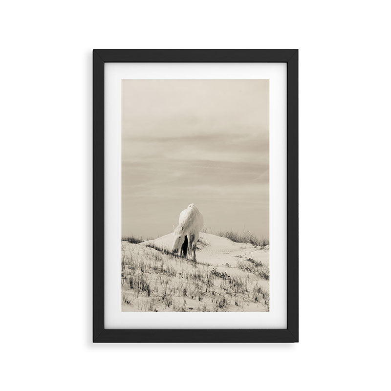 Wild Horses 7 - Black and White Framed Art Print Gallery Image 2