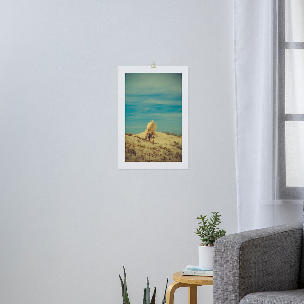 Wild Horses 7 - Color Art Print Gallery Image 3