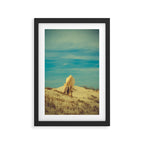 Wild Horses 7 - Color Framed Art Print Gallery Image 2