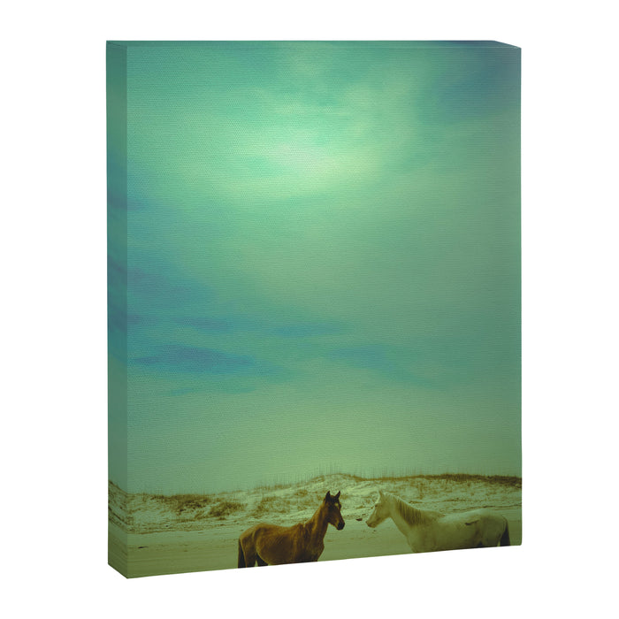 Wild Horses of Cumberland Island Canvas Print Gallery Image 1