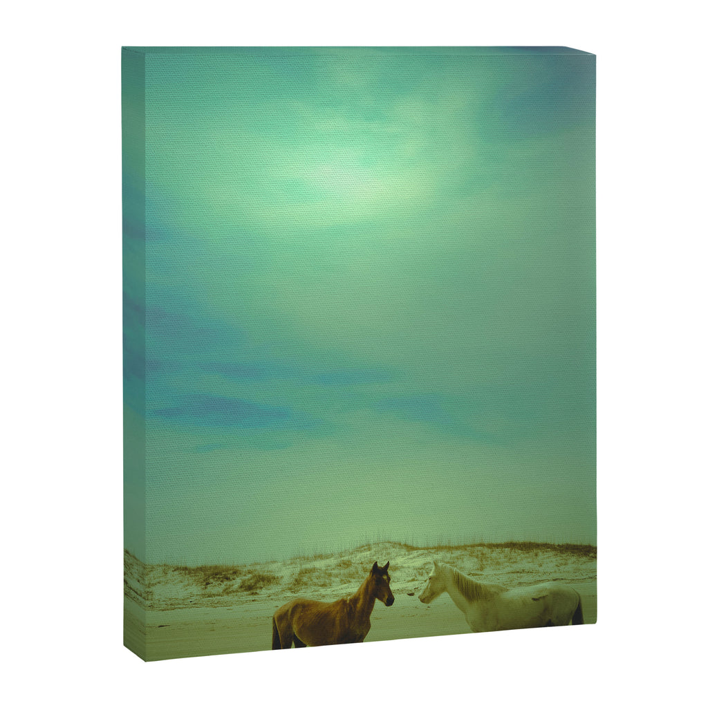 Wild Horses of Cumberland Island Canvas Print Gallery Image 6