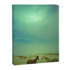 Wild Horses of Cumberland Island Canvas Print Gallery Image 6