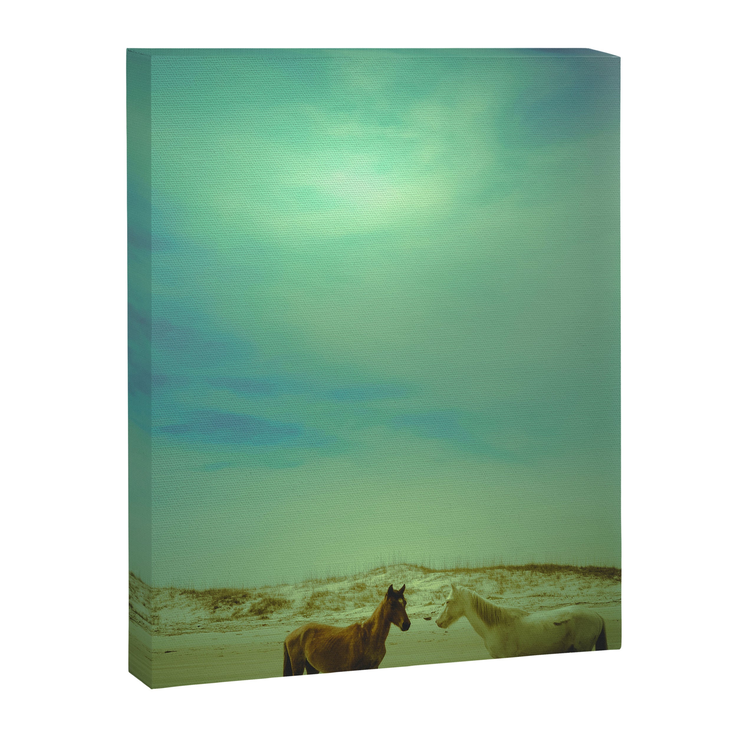 Wild Horses of Cumberland Island Canvas Print Gallery Image 6