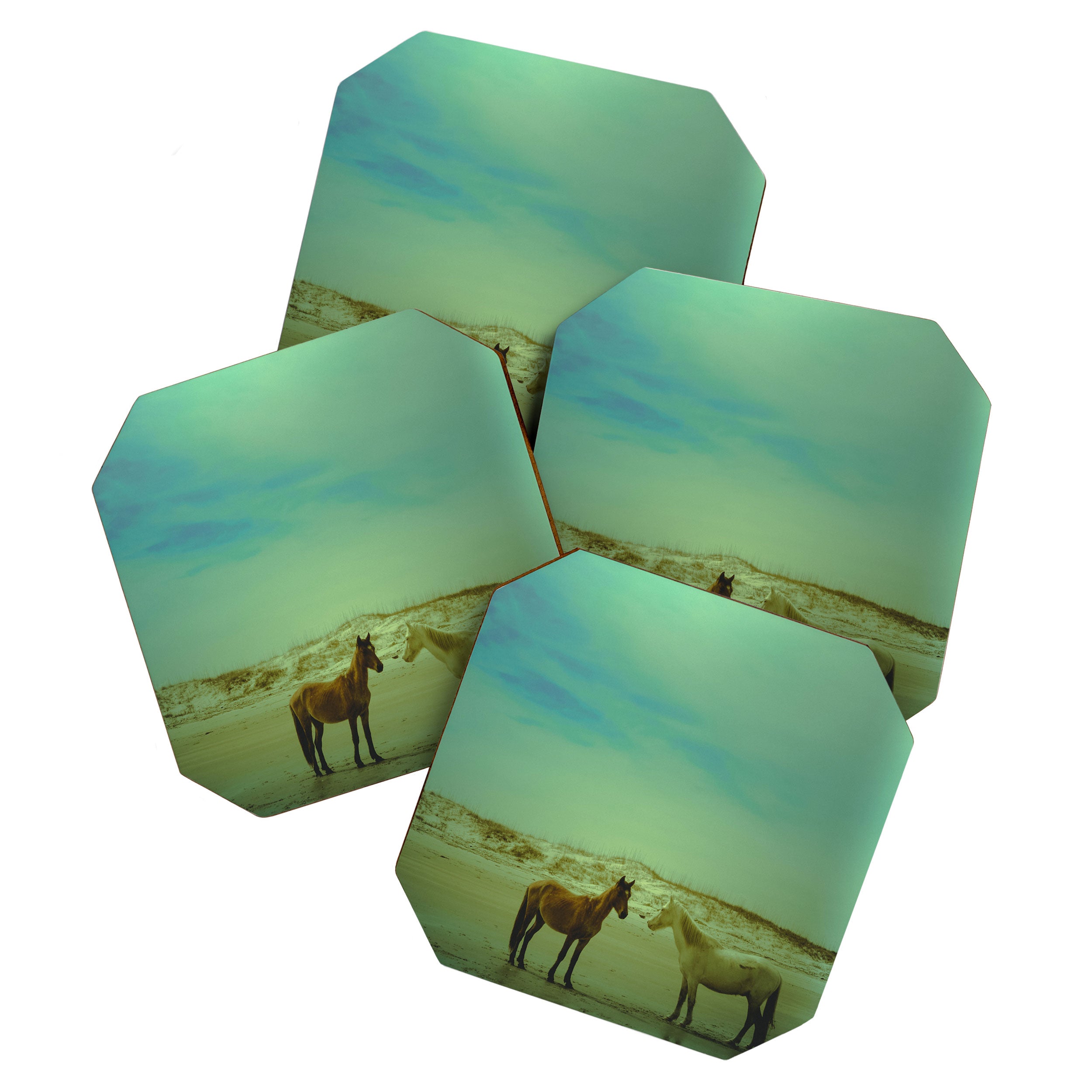 Wild Horses of Cumberland Island Coaster Gallery Image 1