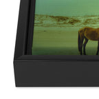 Wild Horses of Cumberland Island Framed Canvas Print Gallery Image 3