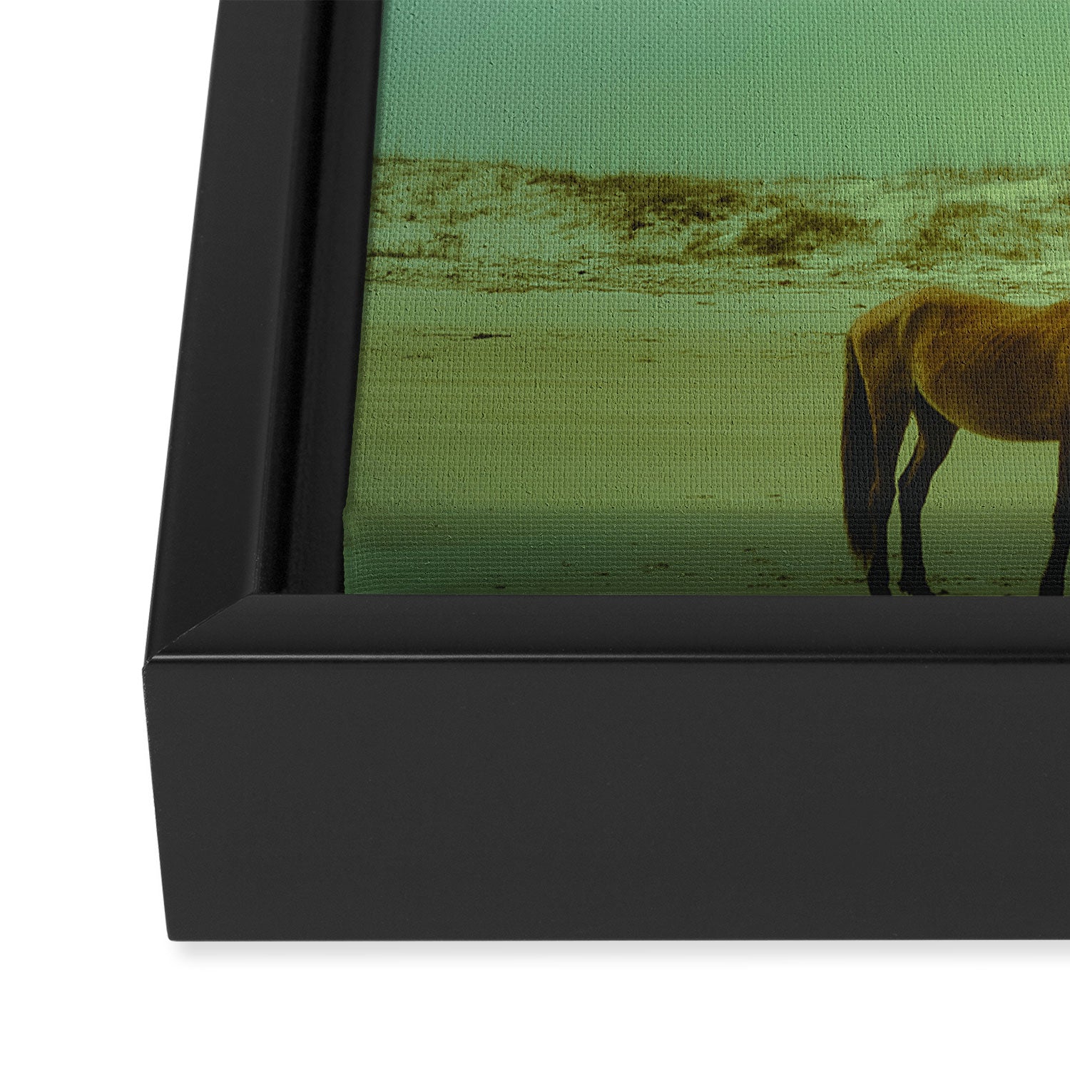 Wild Horses of Cumberland Island Framed Canvas Print Gallery Image 3