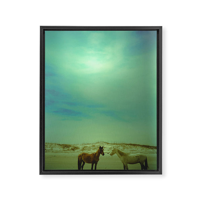 Wild Horses of Cumberland Island Framed Canvas Print Gallery Image 1