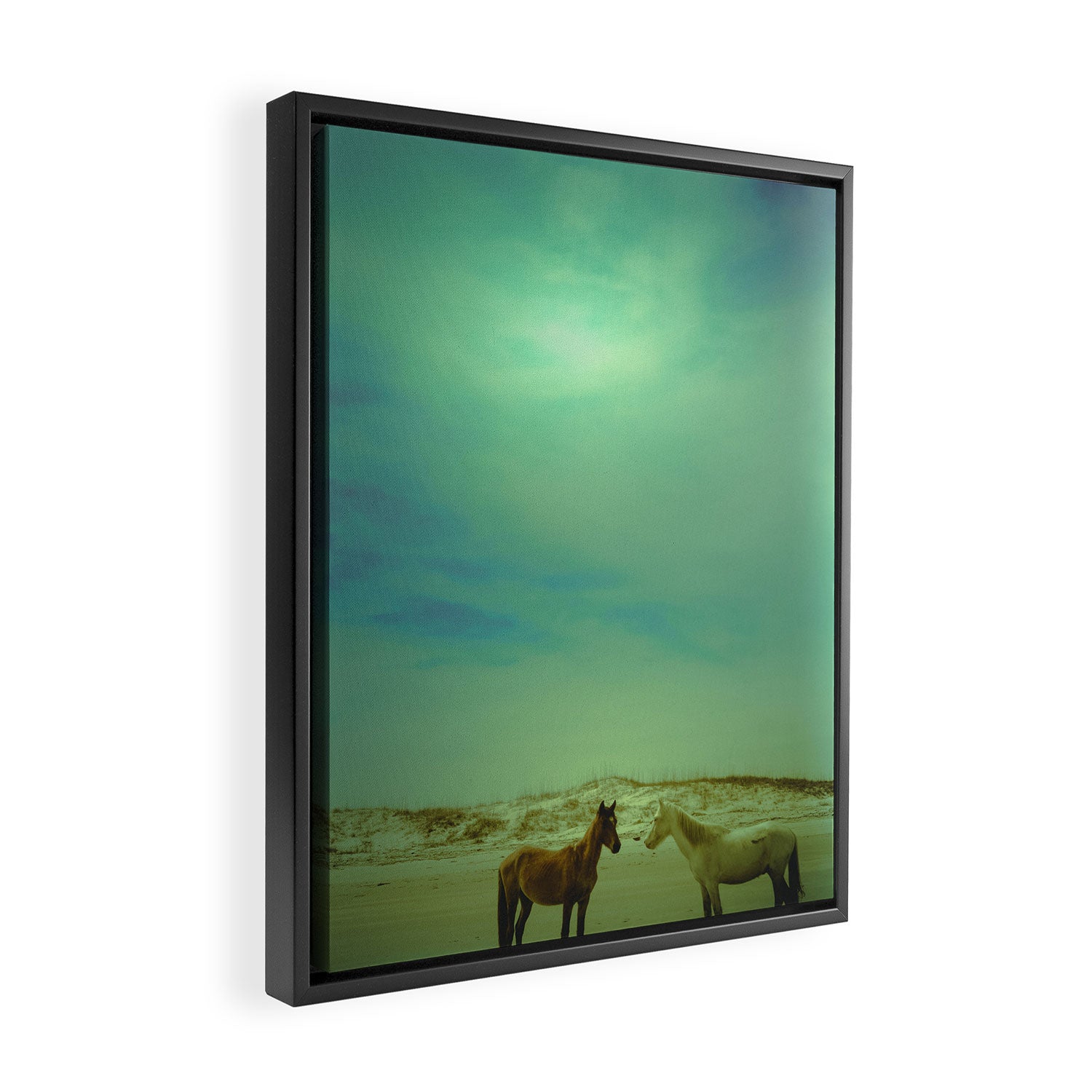 Wild Horses of Cumberland Island Framed Canvas Print Gallery Image 2