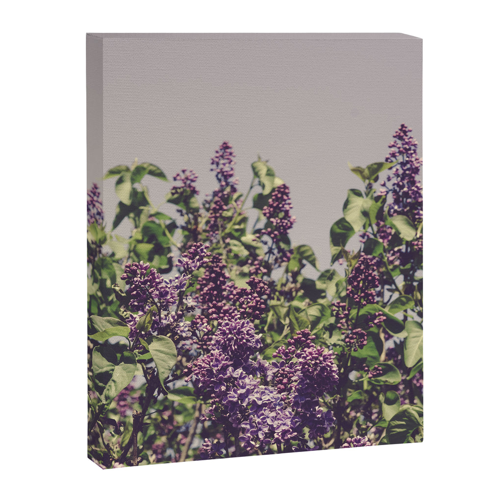 Wild Lilacs - spring floral nature photograph Canvas Print Gallery Image 8