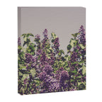 Wild Lilacs - spring floral nature photograph Canvas Print Gallery Image 8
