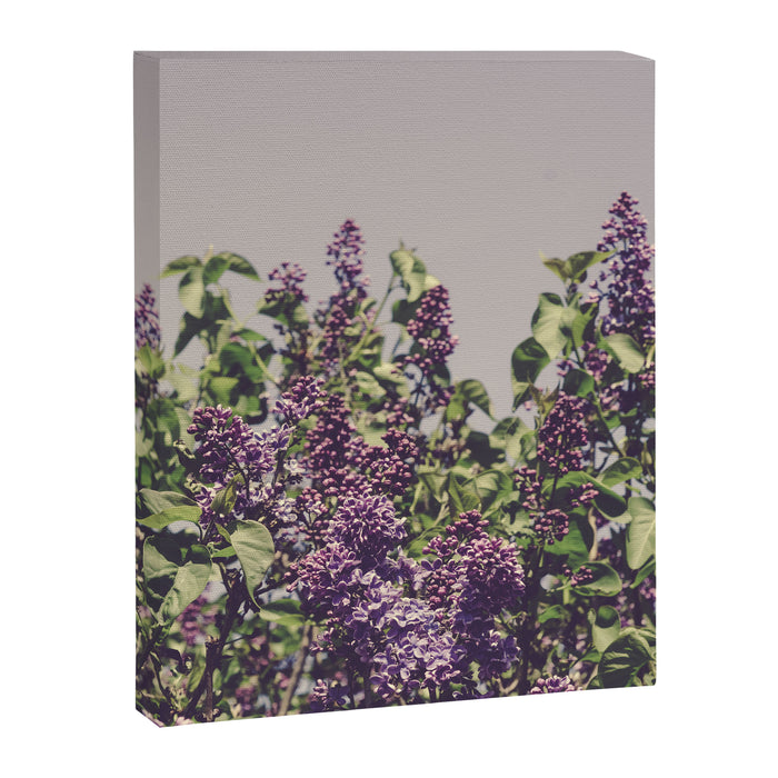 Wild Lilacs - spring floral nature photograph Canvas Print Gallery Image 1