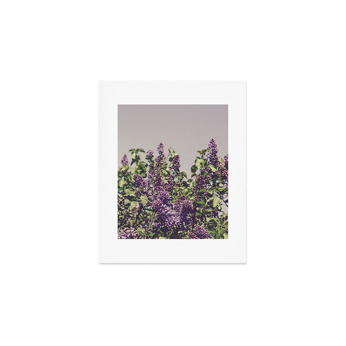 Wild Lilacs - spring floral nature photograph Art Print Gallery Image 1
