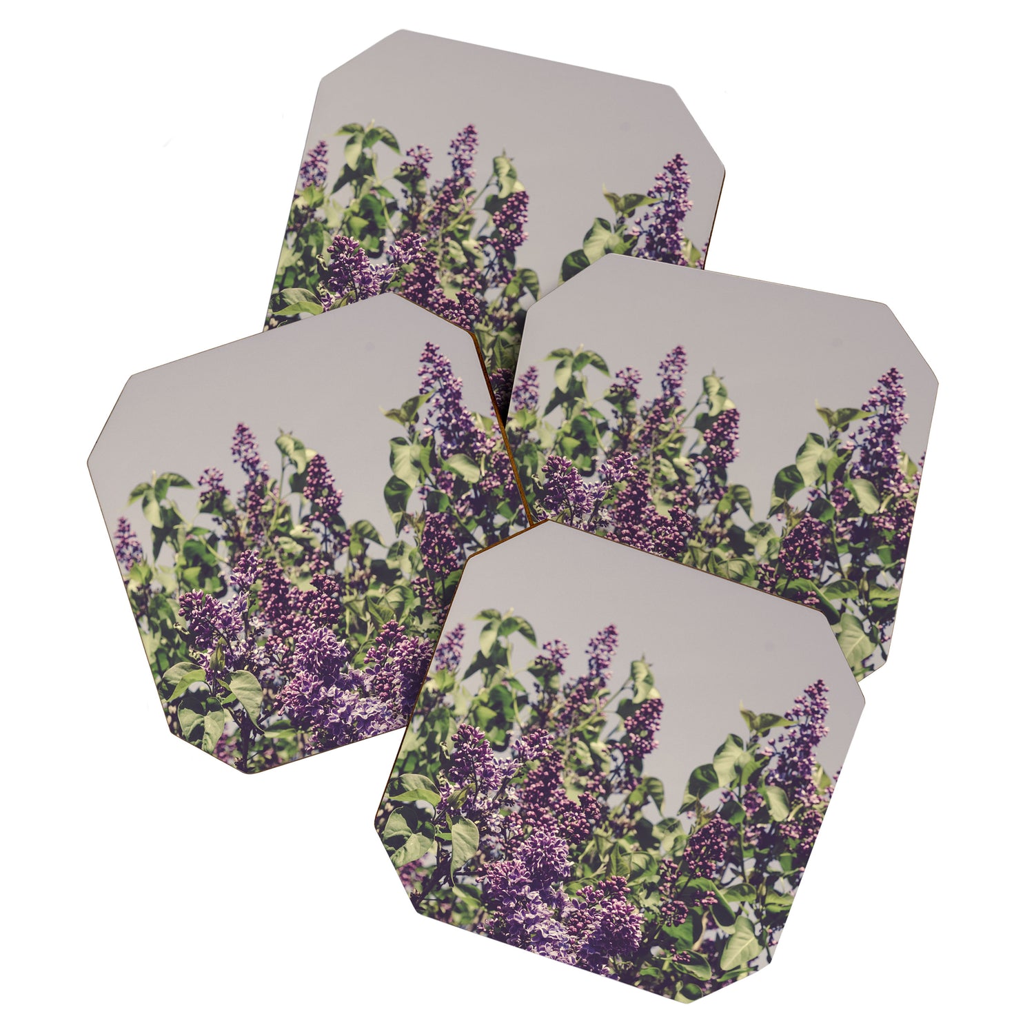 Wild Lilacs - spring floral nature photograph Coaster Gallery Image 1