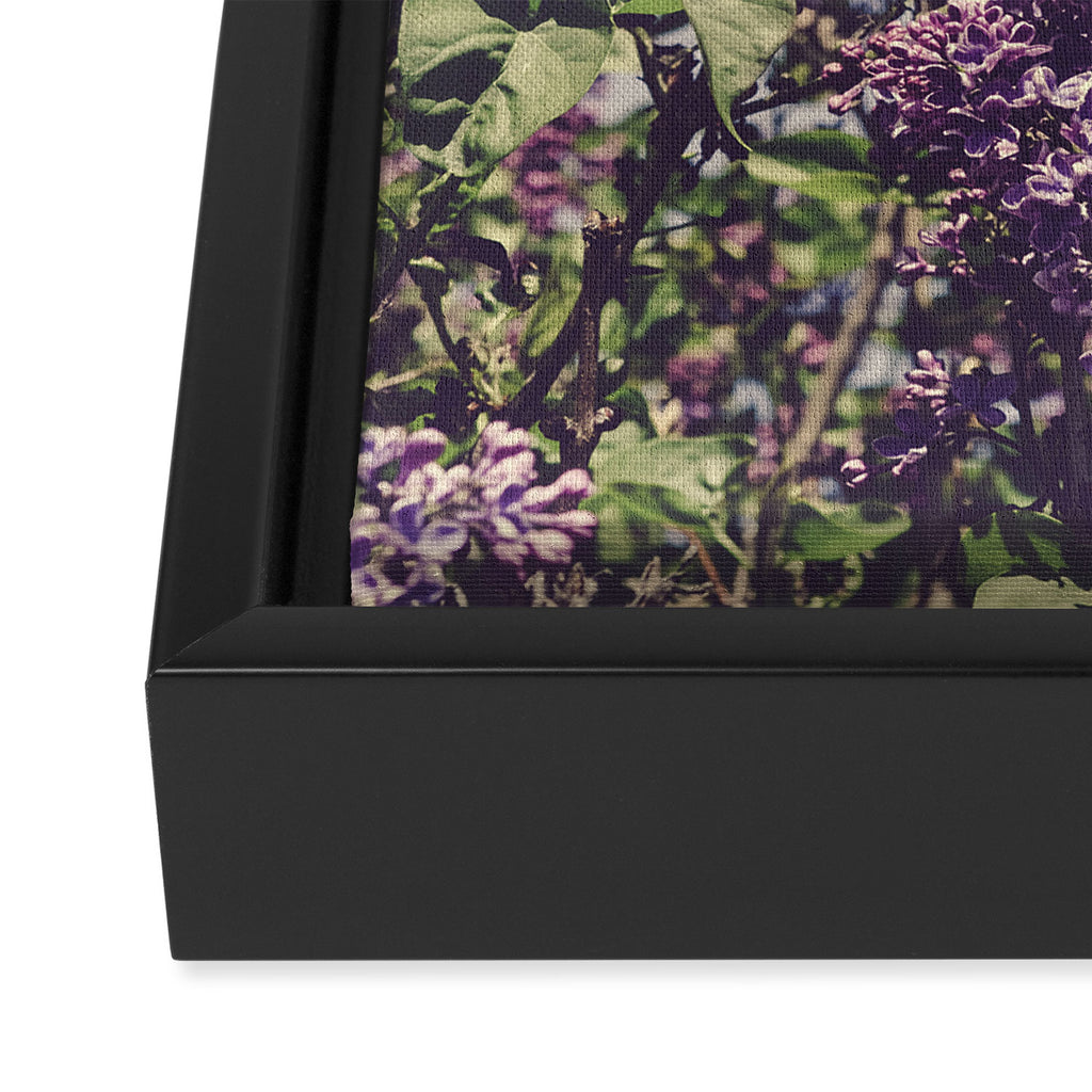Wild Lilacs - spring floral nature photograph Framed Canvas Print Gallery Image 3