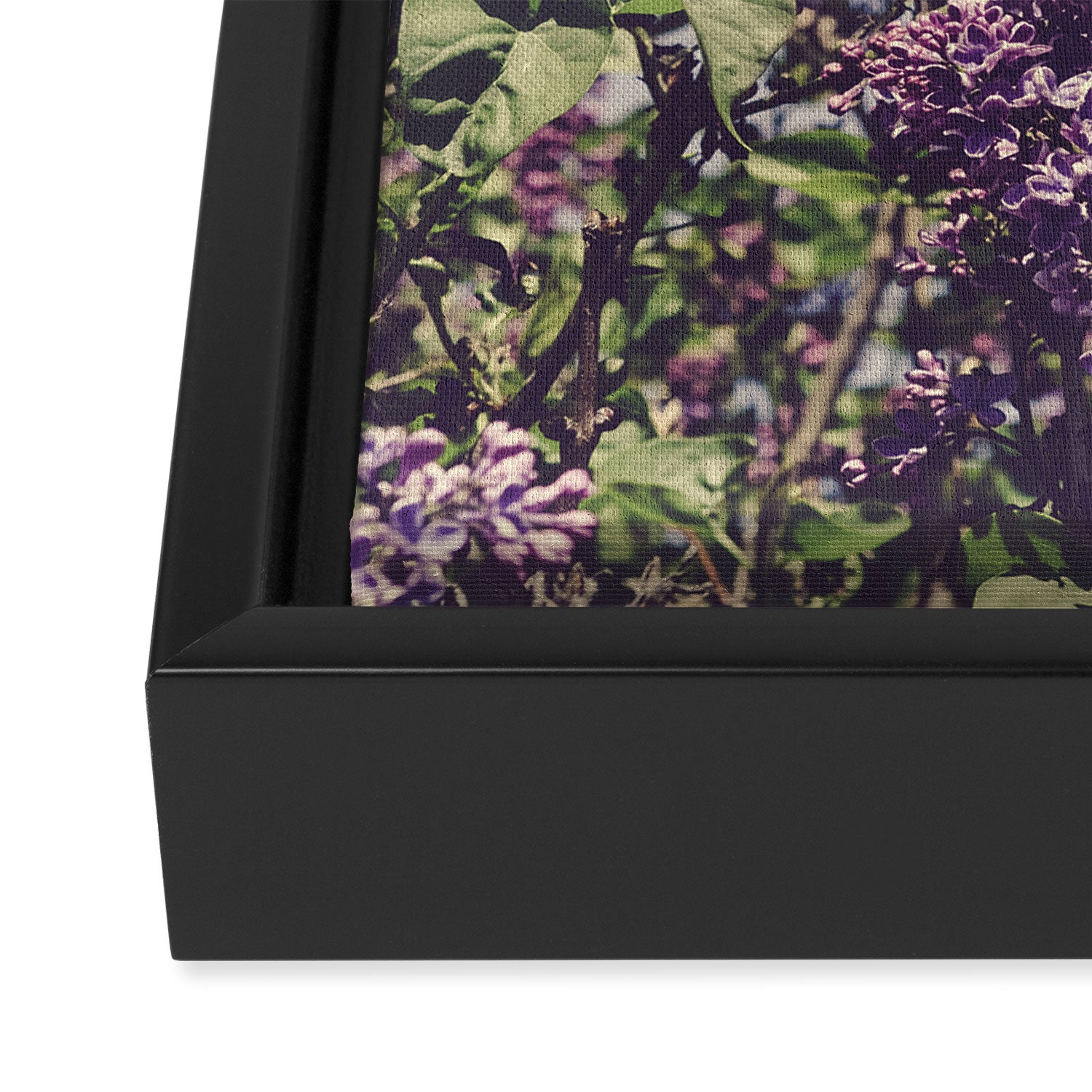 Wild Lilacs - spring floral nature photograph Framed Canvas Print Gallery Image 3