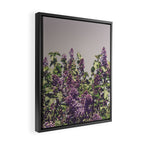 Wild Lilacs - spring floral nature photograph Framed Canvas Print Gallery Image 2