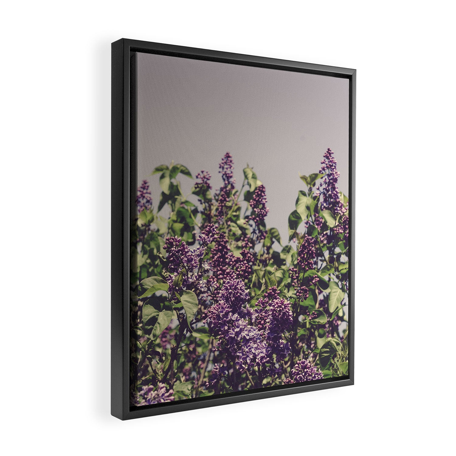 Wild Lilacs - spring floral nature photograph Framed Canvas Print Gallery Image 2