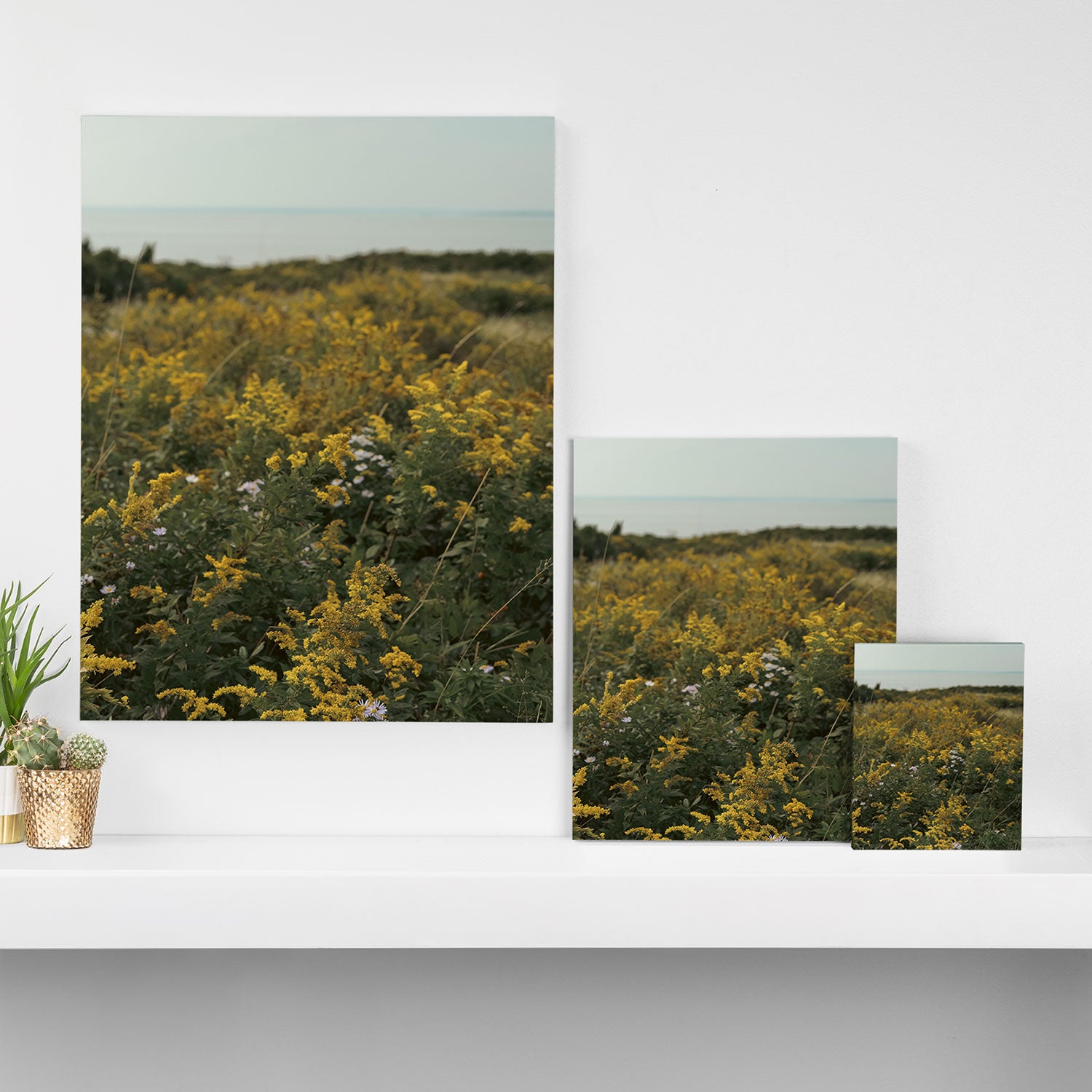 wildflower field by the sea - nature photograph autumn Canvas Print Gallery Image 3