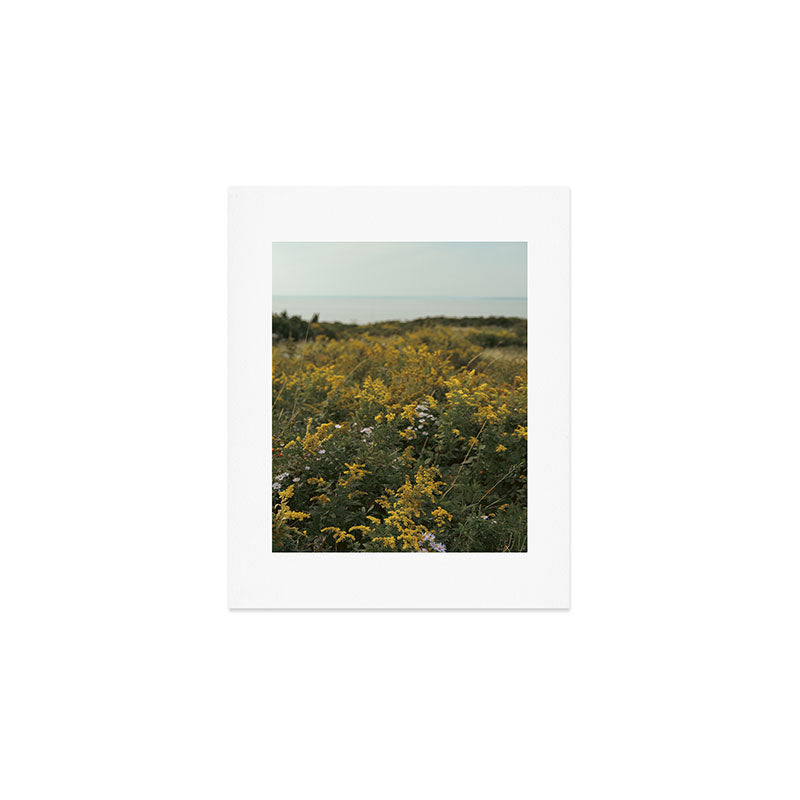 wildflower field by the sea - nature photograph autumn Art Print Gallery Image 1
