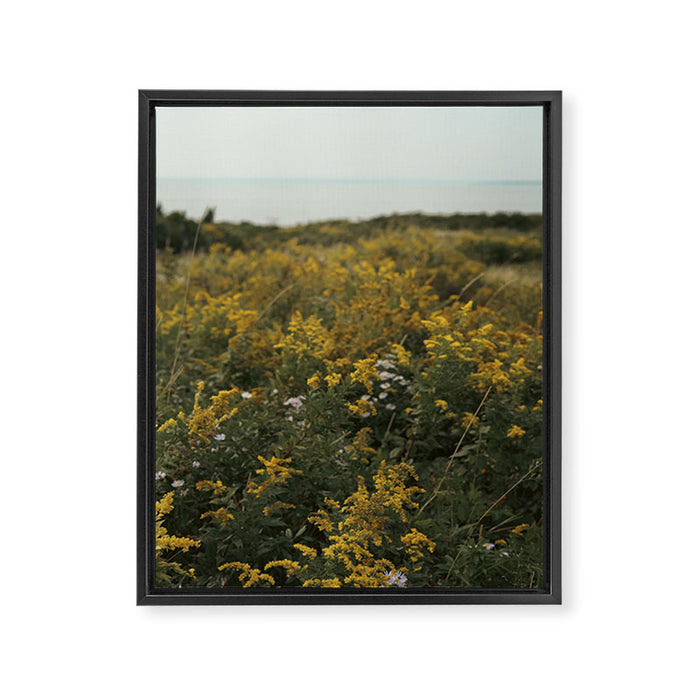 wildflower field by the sea - nature photograph autumn Framed Canvas Print Gallery Image 1