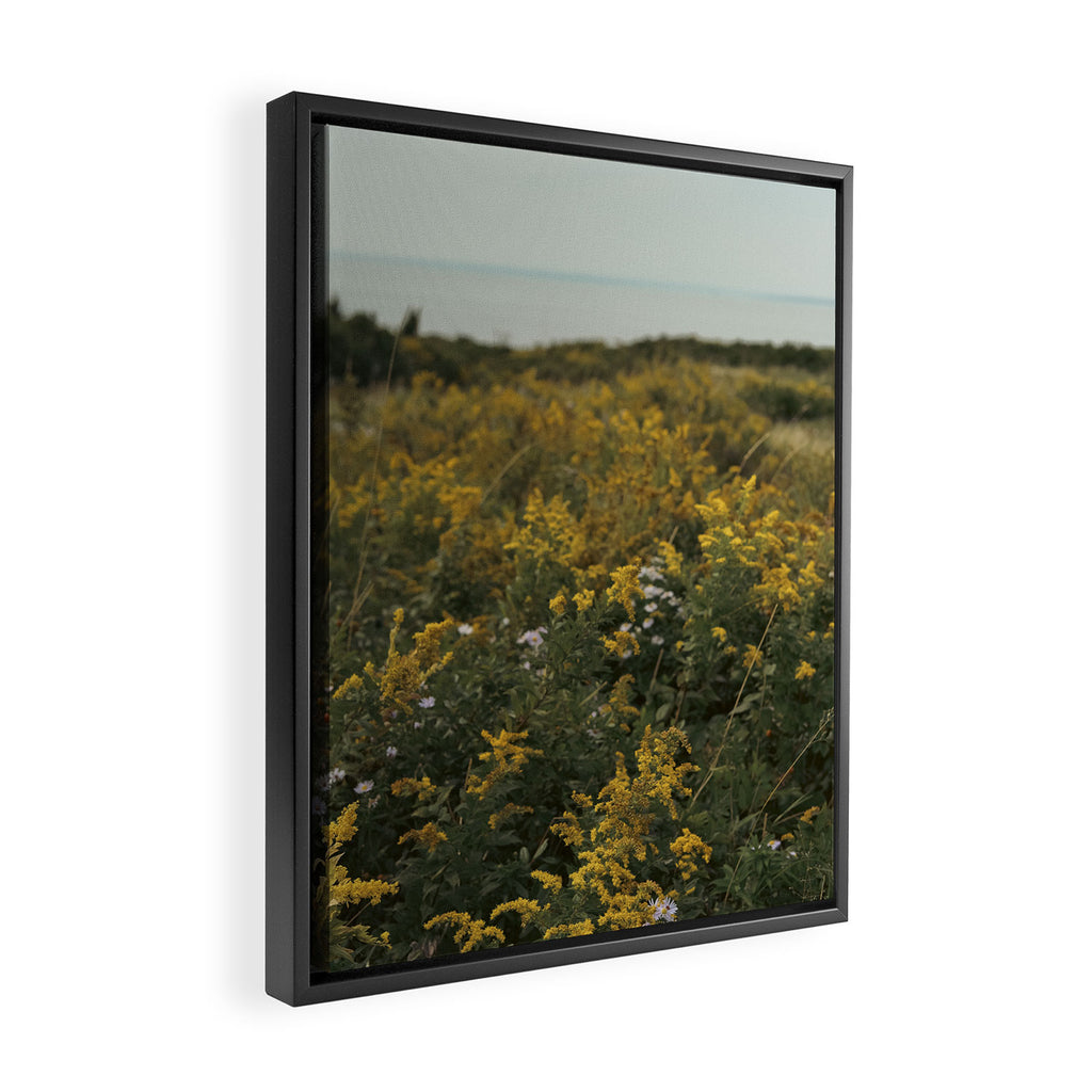 wildflower field by the sea - nature photograph autumn Framed Canvas Print Gallery Image 2