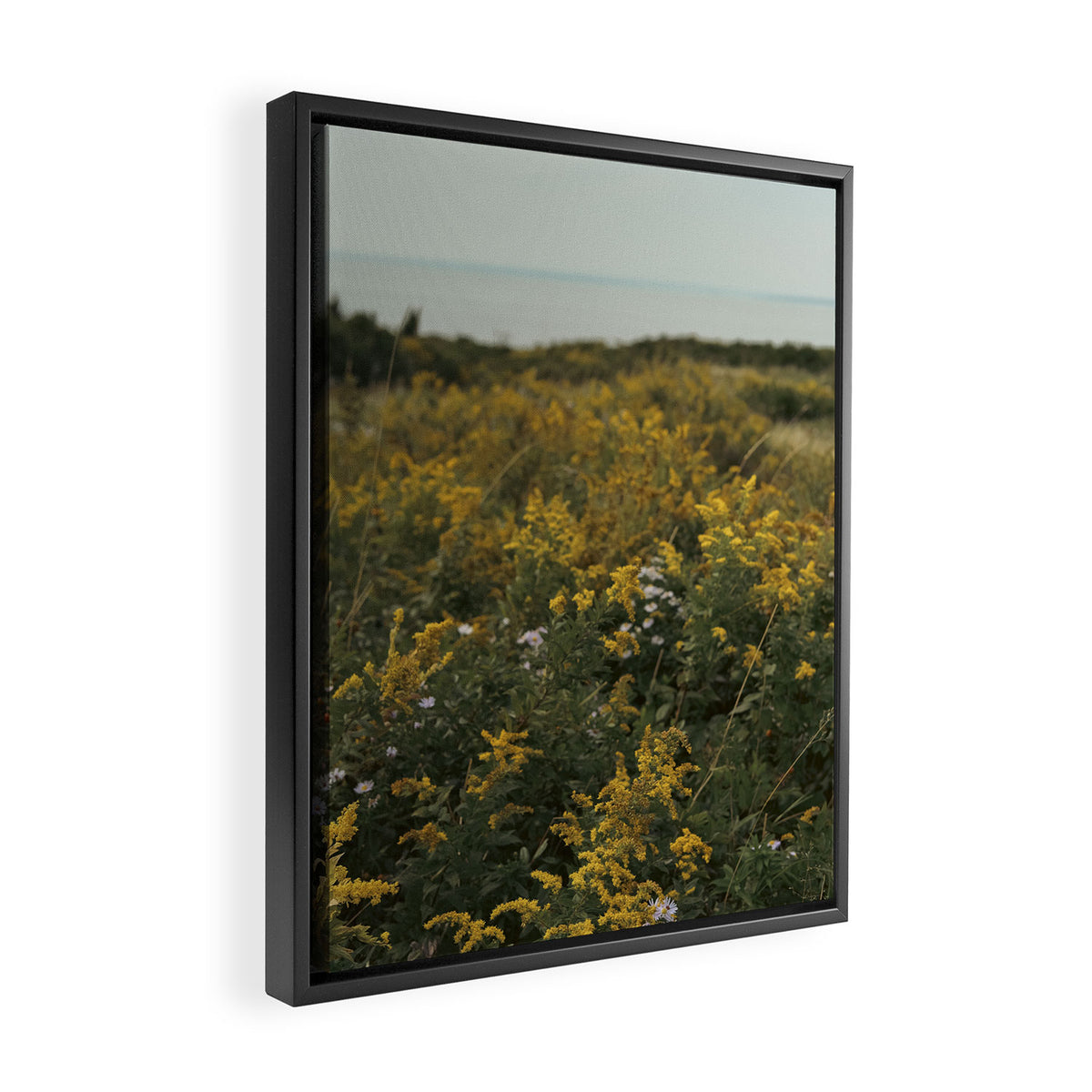 wildflower field by the sea - nature photograph autumn Framed Canvas Print Gallery Image 2