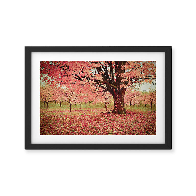 Wind and Leaves Framed Art Print Gallery Image 2